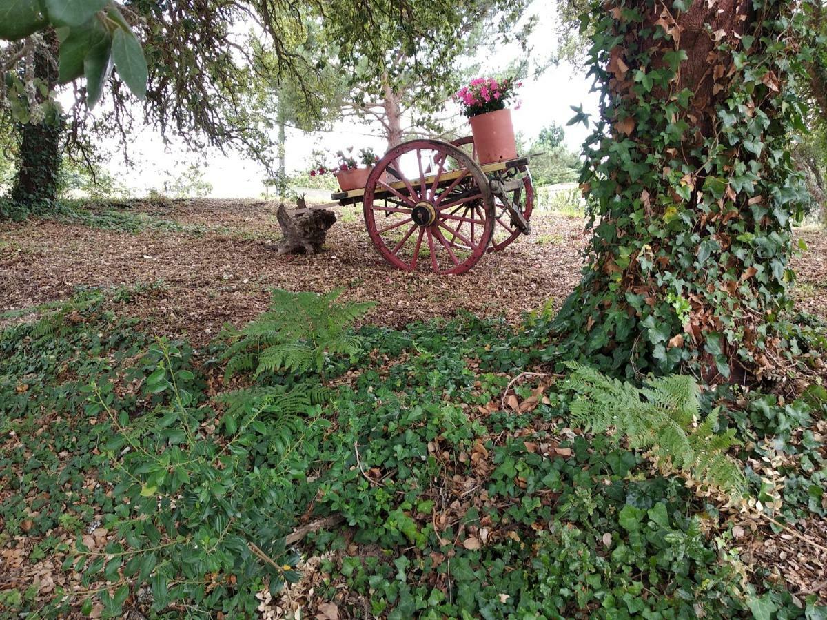 Willa Quinta Dos Sobreiros Nadadouro Zewnętrze zdjęcie